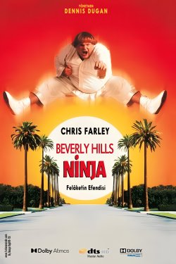 Beverly Hills Ninja 1997