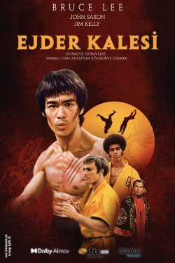 Enter The Dragon 1973